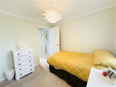 Picture 19